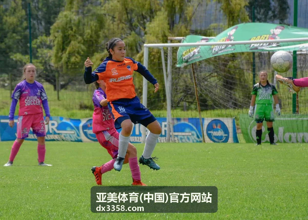 2018世界杯冰岛冷门：维京战吼如何震撼世界足坛
