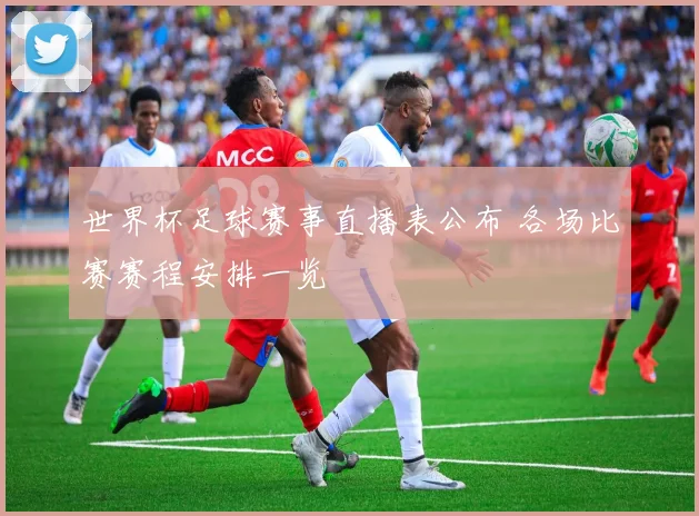 世界杯足球赛事直播表公布 各场比赛赛程安排一览