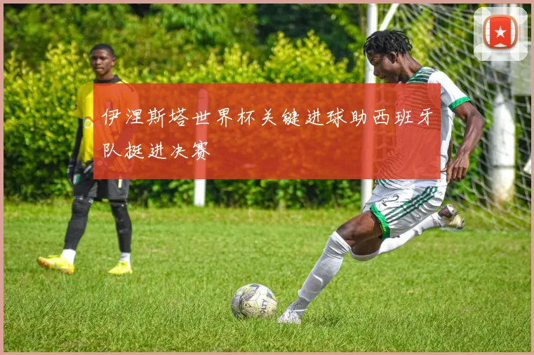 伊涅斯塔世界杯关键进球助西班牙队挺进决赛