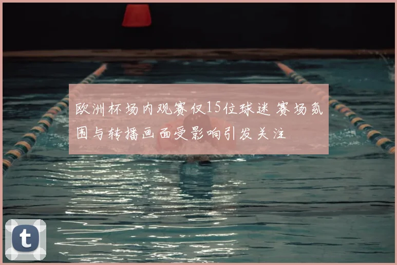 欧洲杯场内观赛仅15位球迷 赛场氛围与转播画面受影响引发关注