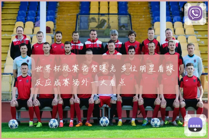 世界杯观赛花絮曝光 多位明星看球反应成赛场外一大看点