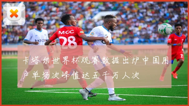 卡塔尔世界杯观赛数据出炉中国用户单场次峰值达五千万人次