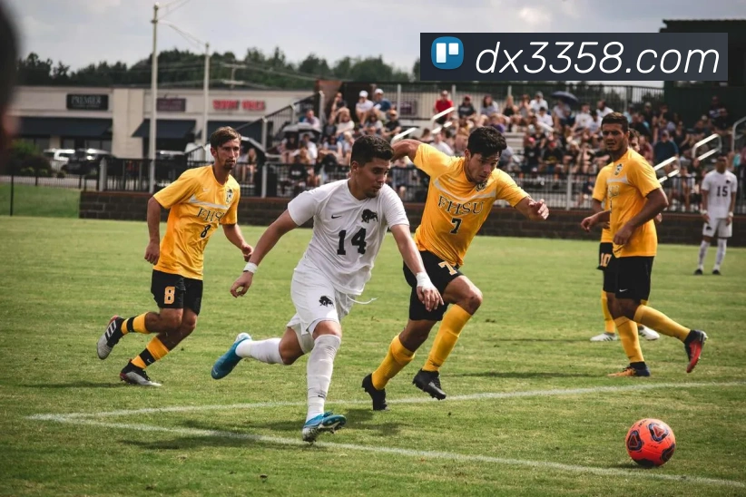 App Interface Preview