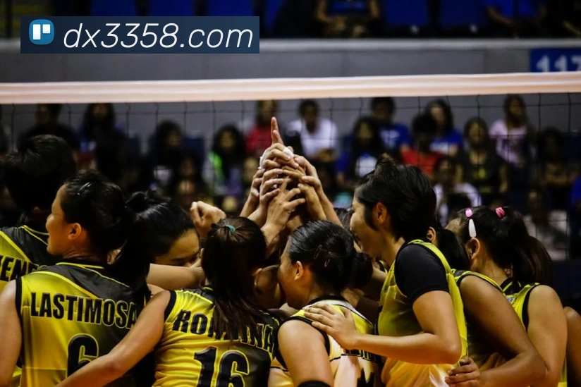 星空软件官网APP 封面图